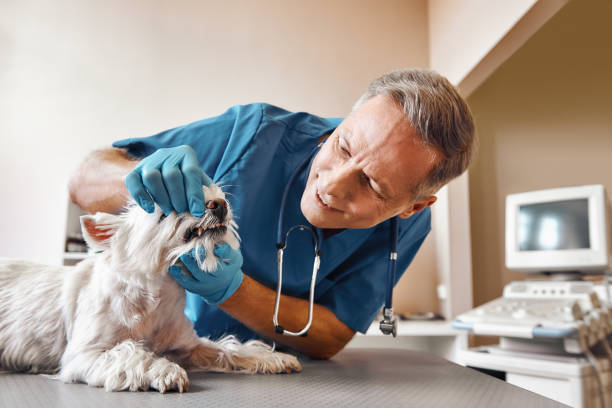 Best Emergency Wisdom Teeth Removal in Frederick, OK